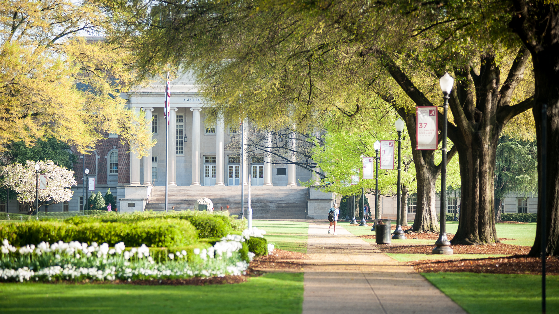 University of alabama. Университет Алабамы Таскалуса. Калифорнийский Технологический институт. Университет обои. Обои на рабочий стол университет.